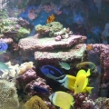 DSCF0999