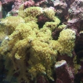 DSCF1001