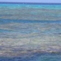 just befor low tide