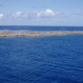 reef4