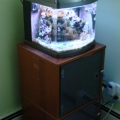 nano cube with sump