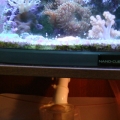 nano cube with sump