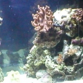 Right Side