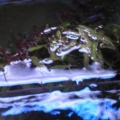 Refugium