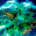 Fancy Fluorescent Red Algae