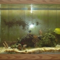 Tank from Afar