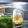 sump21