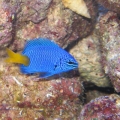 IMG_0853_copy