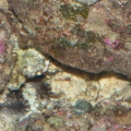 PICT0124