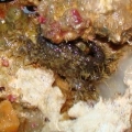 Dsc00334