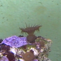 DVC00050