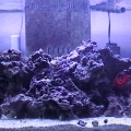 My 58g tank