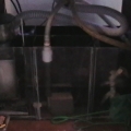 My sump