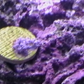 IMGA0048