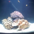 Our New Nano