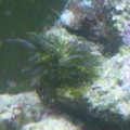 What is this?