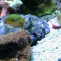 Oooh pretty colors