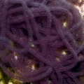 Initial Colour