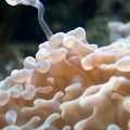 Macro Fun: Hammer Searching