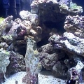 front_biocube