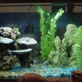 Freshwater tank