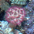 DVC00071