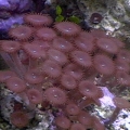 DVC00057