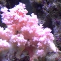 DVC00058