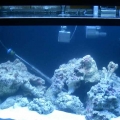 1st tank shots