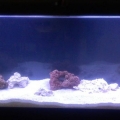 55g Stage two