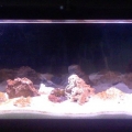 55g Stage three