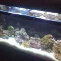 55g Stage five