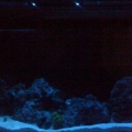 55g New light