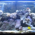 My Tank!
