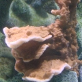 DSC01848