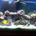 my_tank2