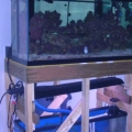 90g_ver3