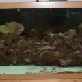 120 gal Aquarium