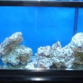 LR just after trip to LFS
