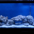 Aquascaped and sand added