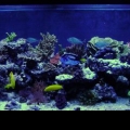 Tank3-24_009_edited