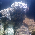 First Tank, Day 1