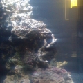 First Tank, Day 1