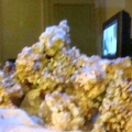 Pics of my RSM