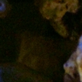 Pics of my RSM