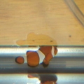 Fender: Clown Fish