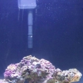 Pictures of the Tank