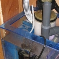 My Aquarium