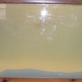 My Aquarium