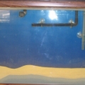 My Aquarium